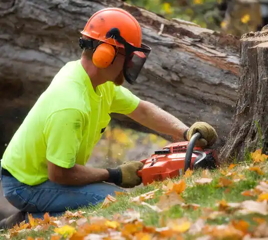 tree services Beatrice